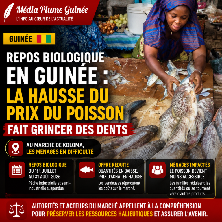 Repos biologique en Guinée : au marché de Koloma, la hausse du prix du poisson fait grincer des dents.