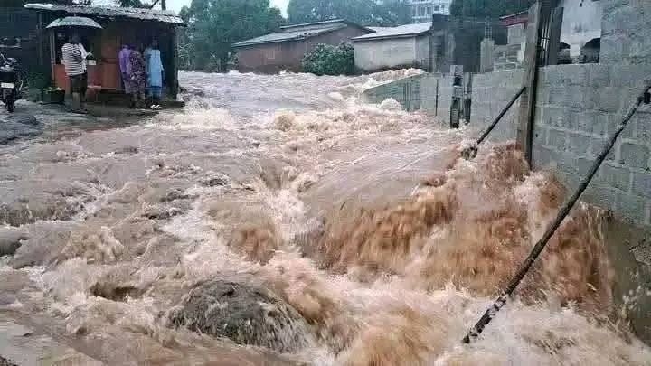 Santé : Saison des pluies en Guinée : Dr Aboubacar Diaby appelle à une vigilance sanitaire renforcée.