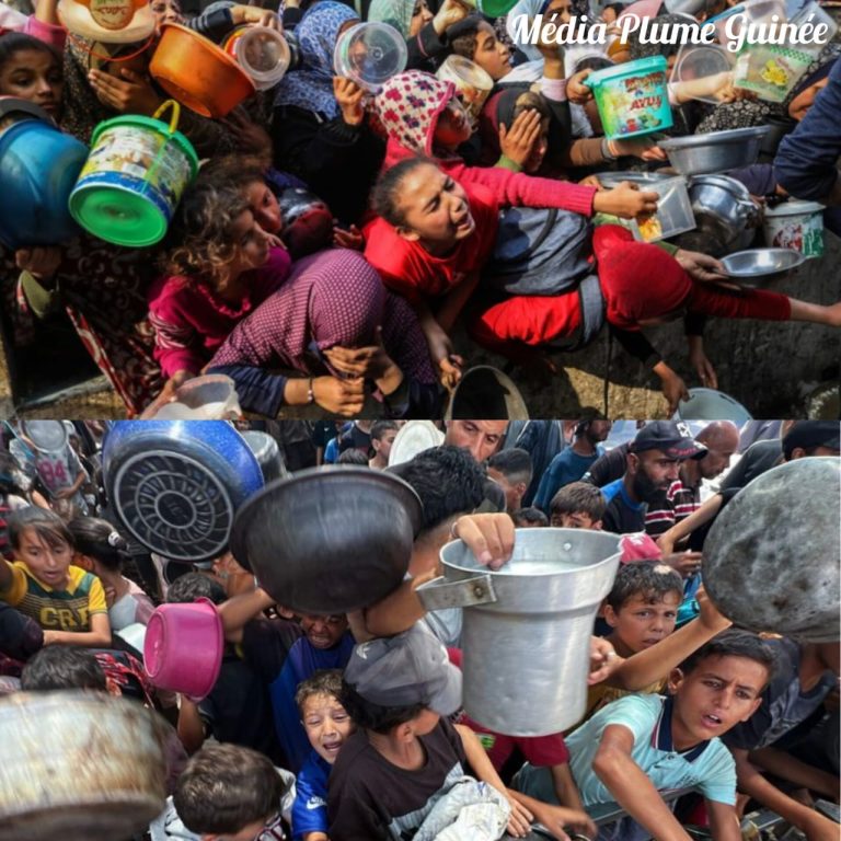International / Gaza : plus de 70 000 enfants menacés par la malnutrition, les organisations humanitaires tirent la sonnette d&rsquo;alarme.