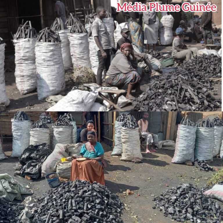 Guinée / Nassouroulaye : la flambée du prix du charbon de bois met les ménages sous pression.