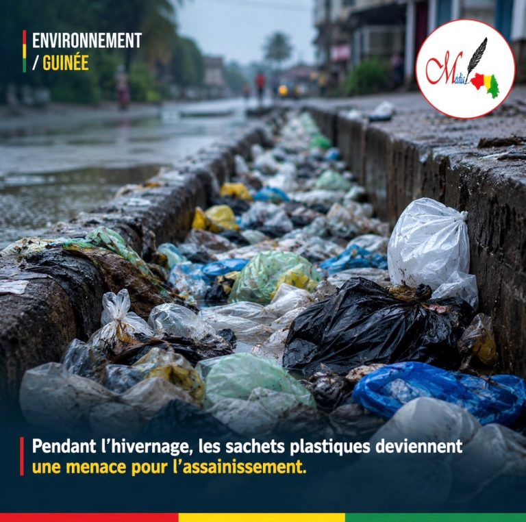 Environnement /Guinée : pendant l’hivernage, les sachets plastiques deviennent une menace pour l’assainissement.