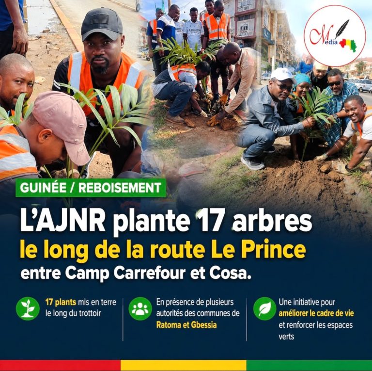 Guinée / Reboisement : l’AJNR plante 17 arbres le long de la route Le Prince entre Camp Carrefour et Cosa.