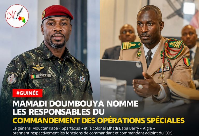 Guinée : le Commandement des opérations spéciales a désormais ses responsables.