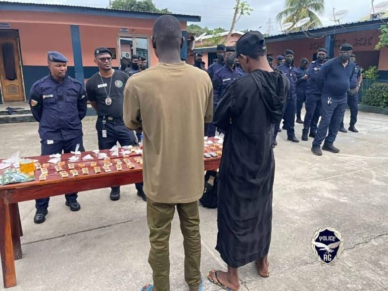 Guinée : 725 grammes de cocaïne découverts dans des contenants de thé.